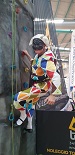 arlecchino